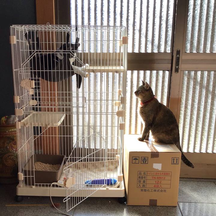 B544e91b aeef 448c 81a3 f01b445417a9 1640840651099