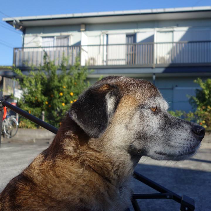 B54504aa e270 47e8 ae10 e06dc77947e9 1574209754610