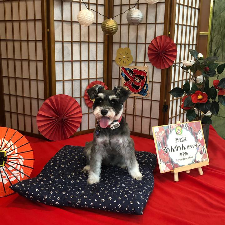 B54507f1 7627 435c 89b6 8635434ea1f9 1731729760957