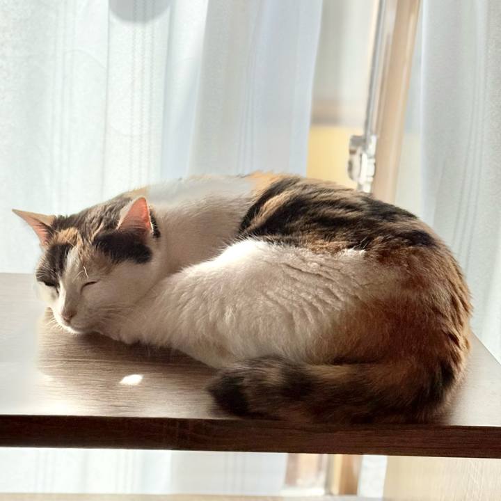 B5451202 2873 461a 966d 27e2194efcd1 1739931871357