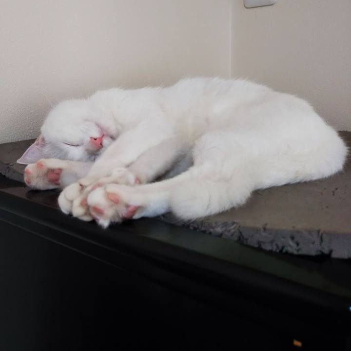 B5455391 2a3d 4ed9 b34b d2396e3f29e5 1644916535951