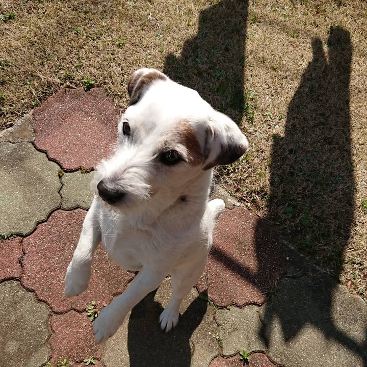 B54570a8 26a7 4657 b183 29d8165ae8ec 1552607722165