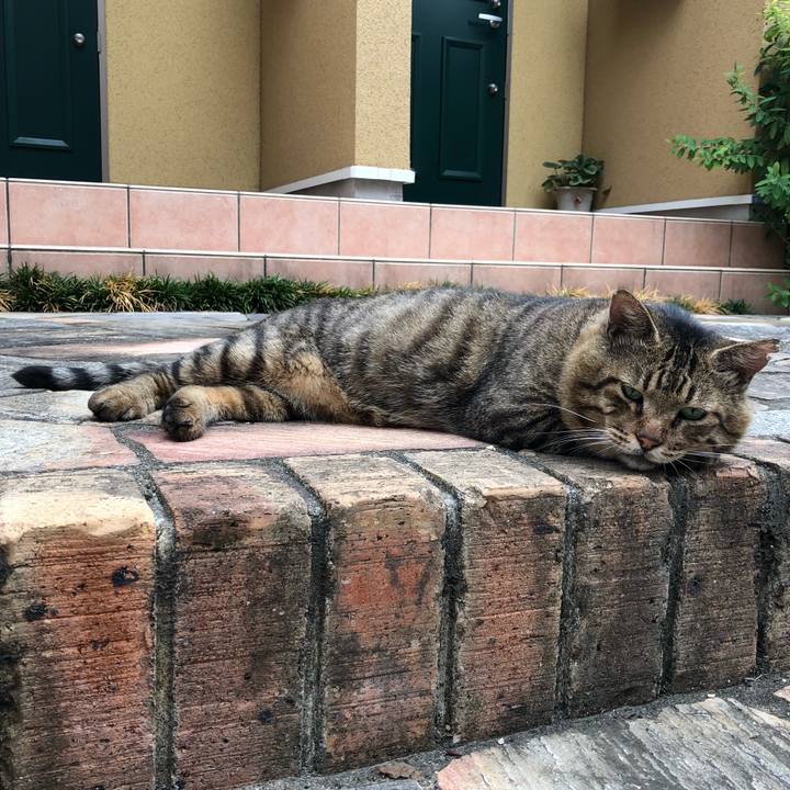 B54576dd 60f2 4e57 bfc5 d7aa984b38ea 1536308039928