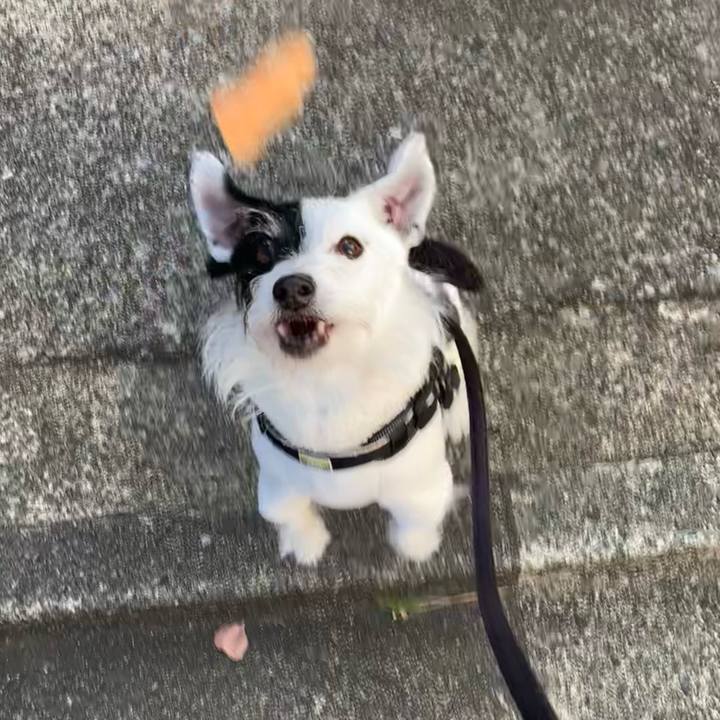 B545a0b7 4eb0 46aa b528 8f99764eb0f0 1734132048448