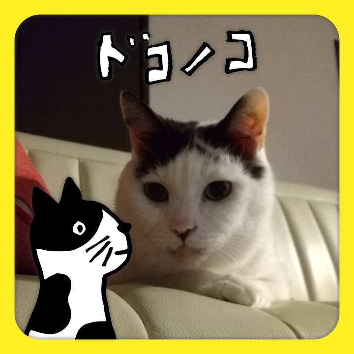 B545db12 ceb0 4e1e a3bd 2e7c071fbf3f 1623507621290