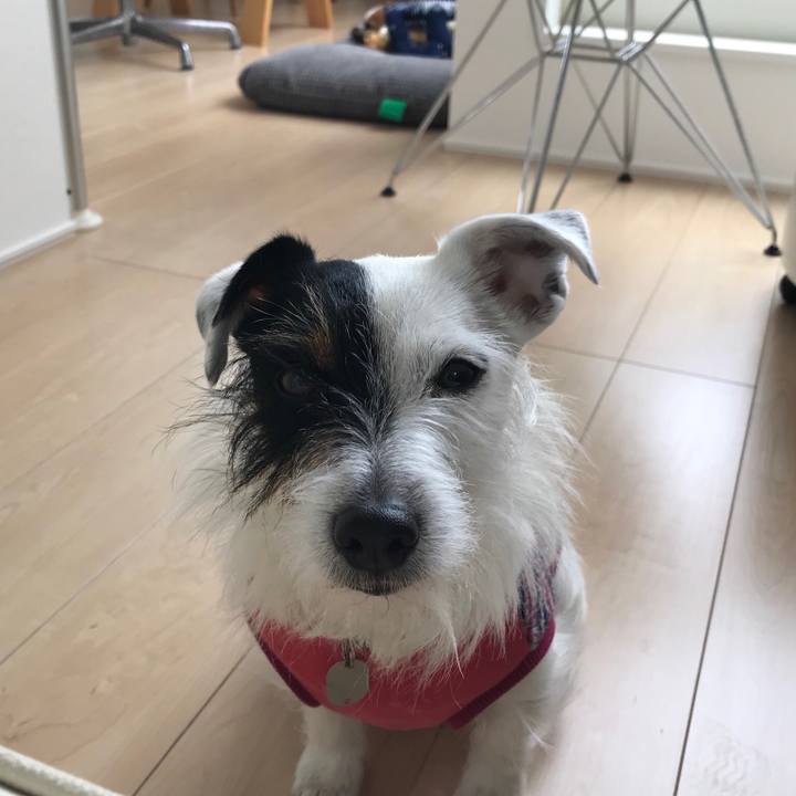 B545f0f5 77bf 43c6 a416 8f4ae012c43e 1520641758764