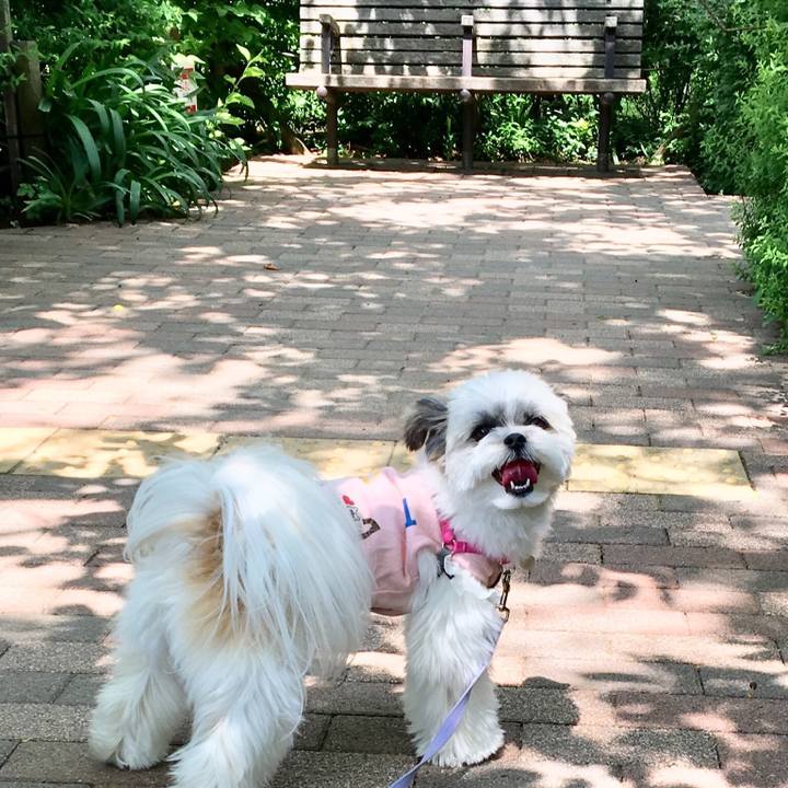 B5464b87 eaae 4bfe 8904 e2b7ccd4bc7f 1525059213969