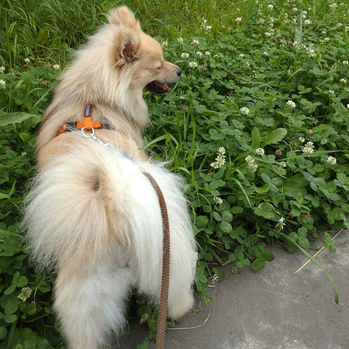 B5466545 fc84 4d54 9230 1b05df0463b9 1750032265699