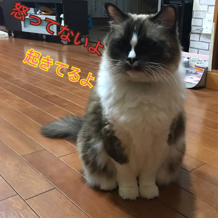 B546924a 4960 426d bfcc 60d253287e84 1512986844297