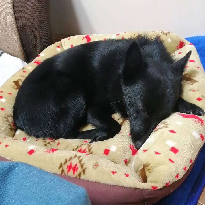 B546a4ae db96 418f 913c 73a08e59126f 1609067540699