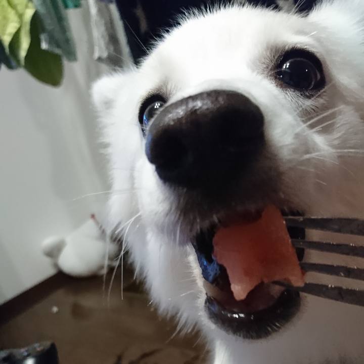 B546cbe4 942d 4ccc 95bc fbf24e337145 1529331909861