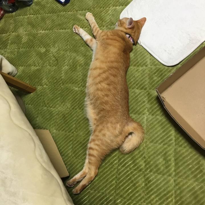 B546d782 6bc3 45a4 87ff 21862ef6c23b 1542036220235