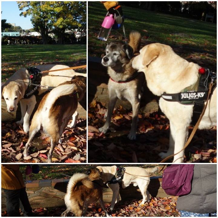 B5470795 5de8 44ae a4ec 5e30d0427324 1574990413327