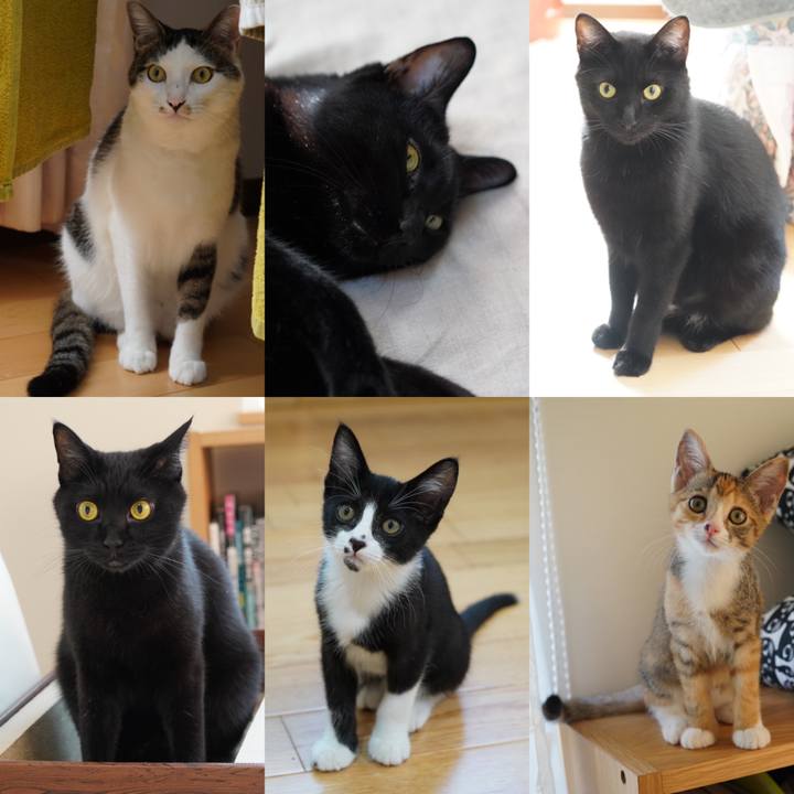 B5471594 fcdc 4bc7 bb86 b90b10ad83dc 1568938204631