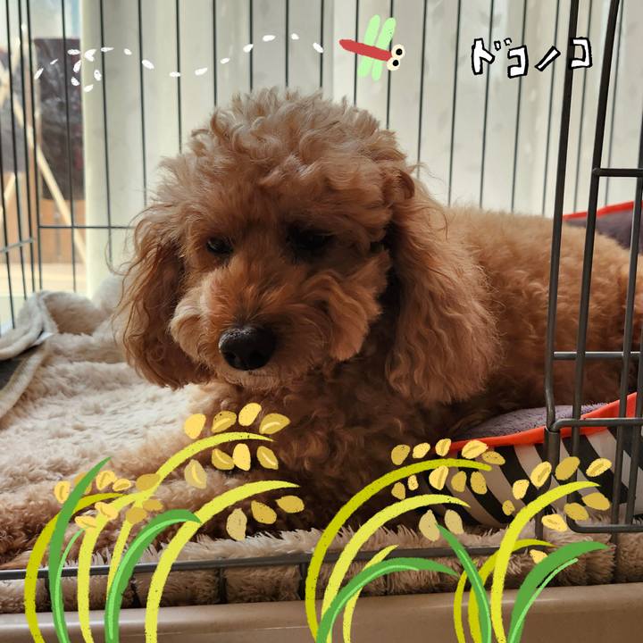 B547322c a9ba 4247 b270 c61a7e66dfba 1761520910589