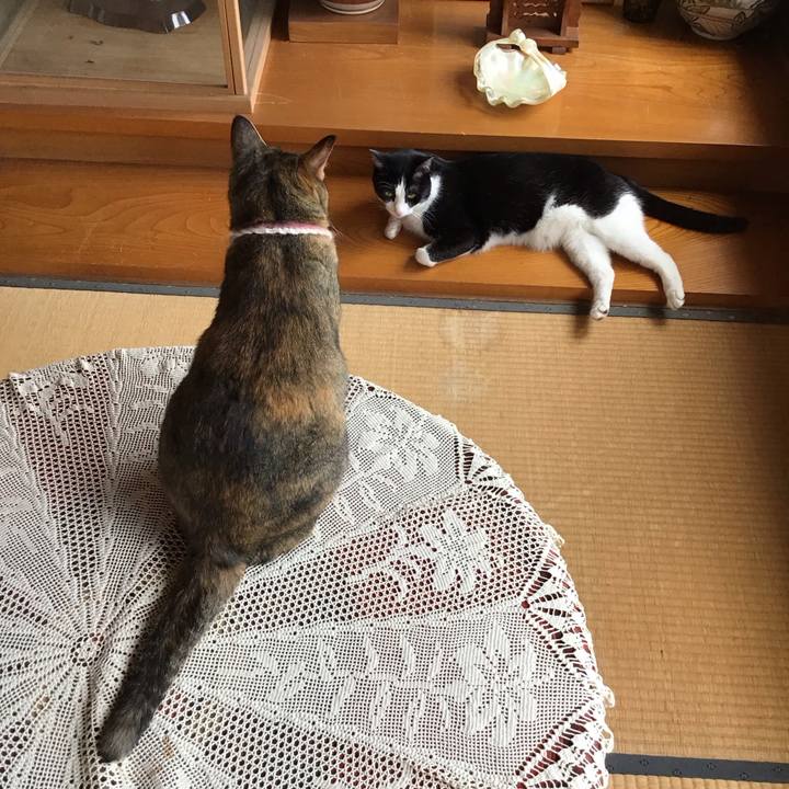 B5476563 5fd0 4817 bb28 95b7fbf2947e 1721373349526