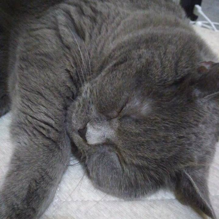 B5477c99 aa47 4242 895a caa3730b1fad 1590290514640