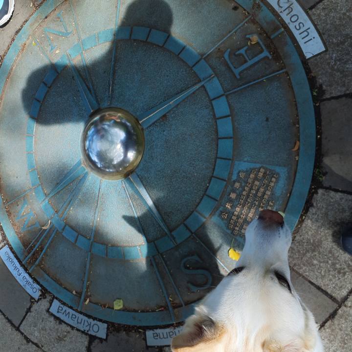 B547b5ac 9ac5 41d6 86c7 a6f8f9a417e5 1682750759052