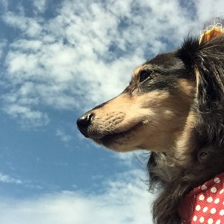 B547d165 dffd 44b0 b8c5 5bd1989722d6 1569807508730