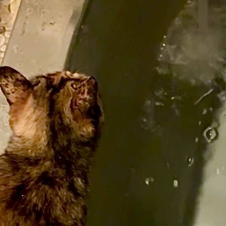 B547e670 328a 45d1 a49a 7f879e0ade67 1748031827557