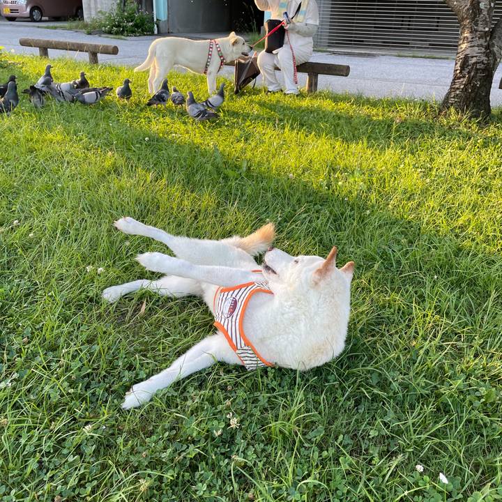 B547e8f6 c99d 490c 983c adfc0e211b2b 1657110305956