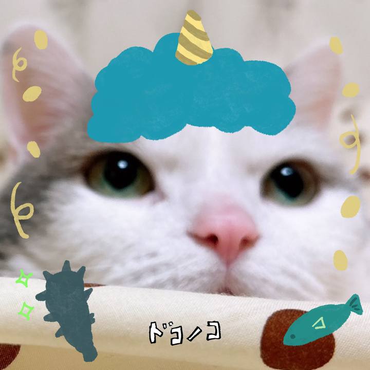 B548400a cf1b 4663 8b3d e0bb81956dc3 1706861683945