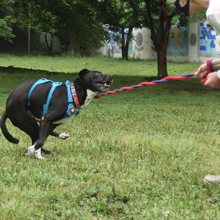 B548441d 9167 4c7d 923c 7d45981df4b1 1621469242664