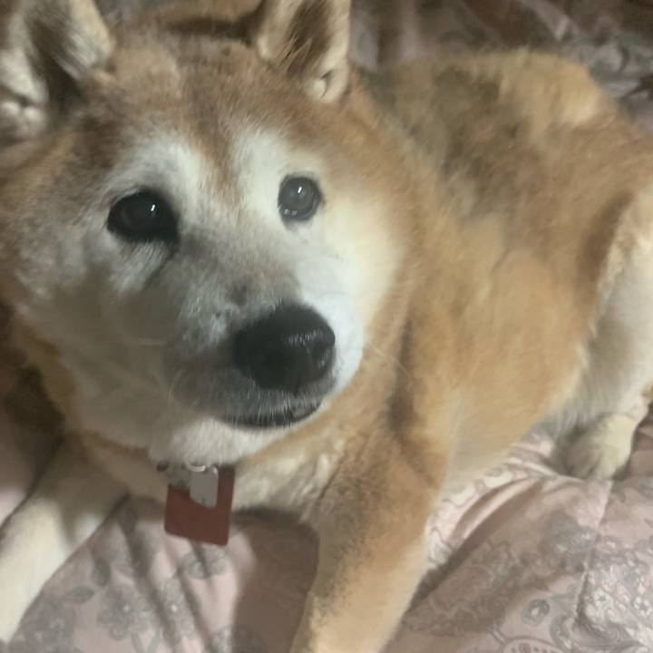 B548467d 3cdf 454a a038 b574c5bb7ce7 1610892250293