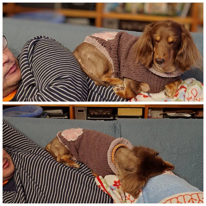 B548507d 2f72 48b0 a0c3 065a4b79f8f6 1735374152035