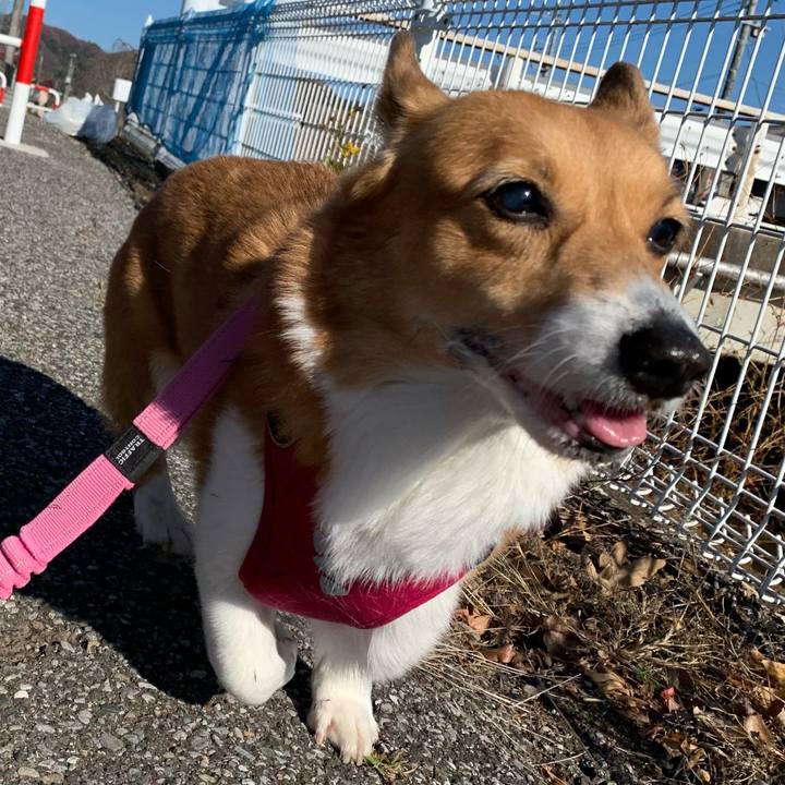 B54860a1 35bc 40b4 8c1d 99cca9d79dc7 1702520884725