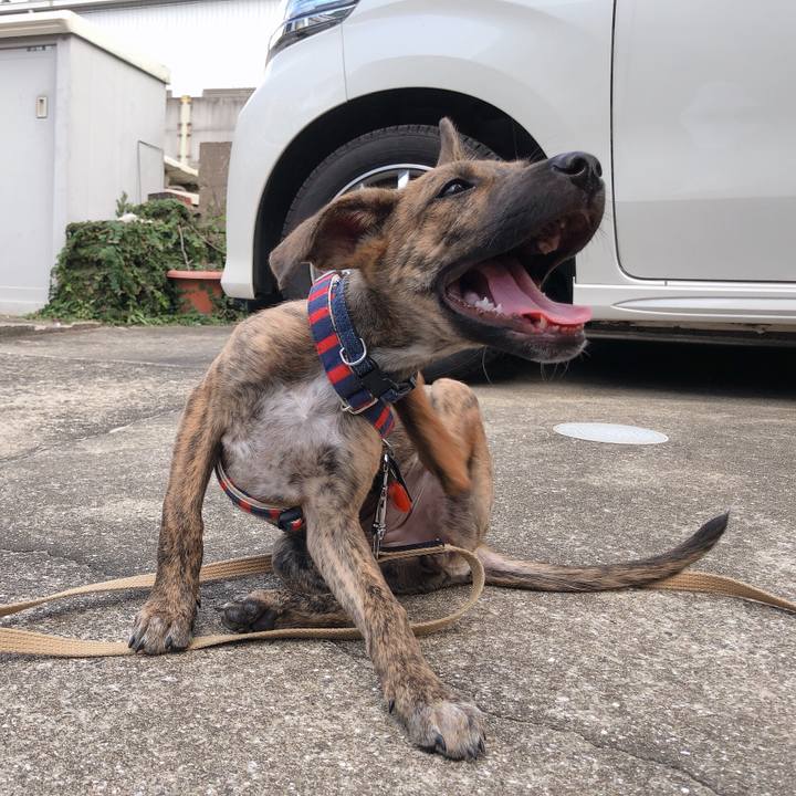 B5486733 2867 4be0 9d0b 724b0bbb07c1 1568301278792