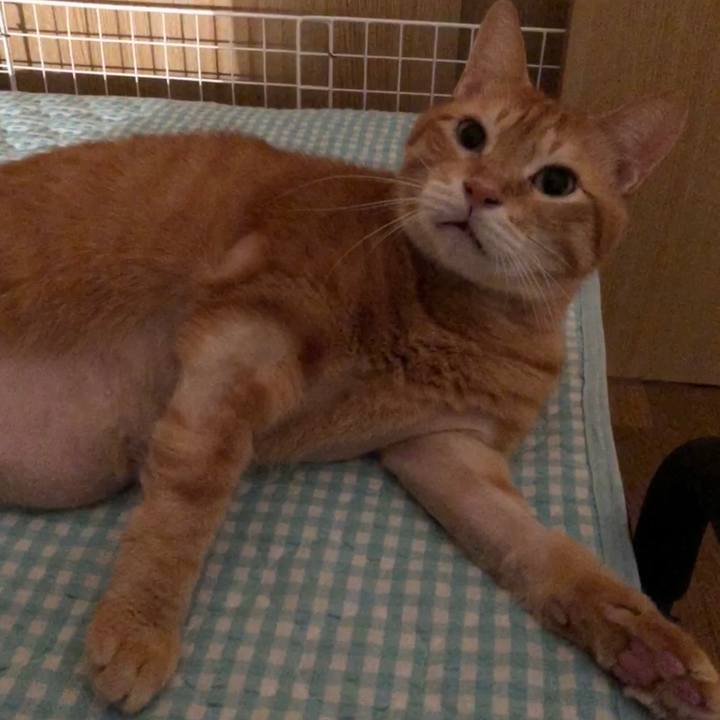 B5487057 5f78 49b2 a0a9 7fe64863cf64 1661858622590