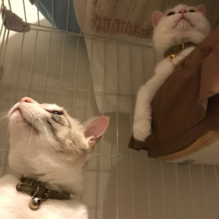 B5488f14 4e5a 46e7 a512 e7e8401c2bd9 1509544642153