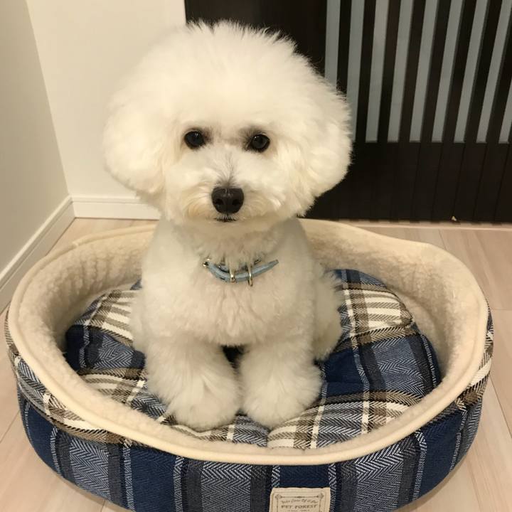 B548a12f 94ee 4d94 815c b5d0ad366c67 1541058317505