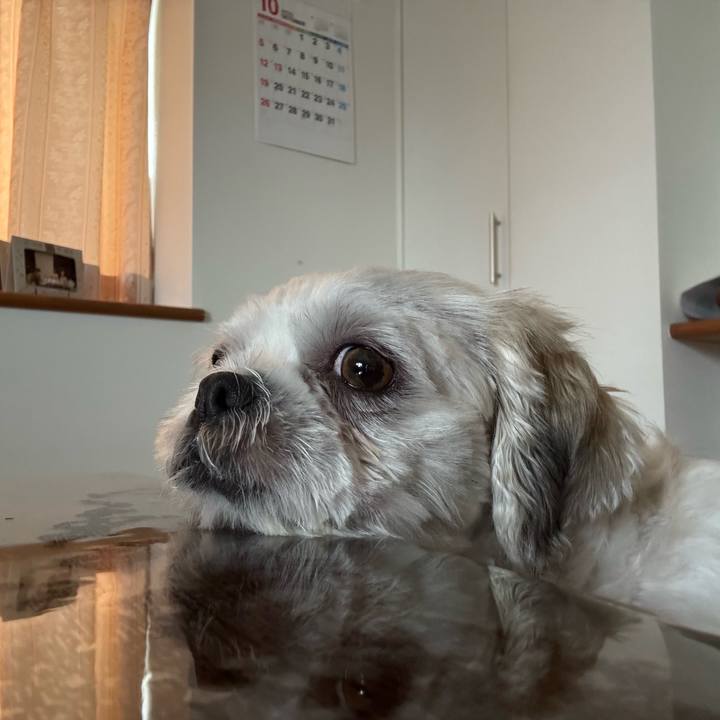 B548a9fb c228 4f66 8e0a 0dcaa29f127f 1761688091461