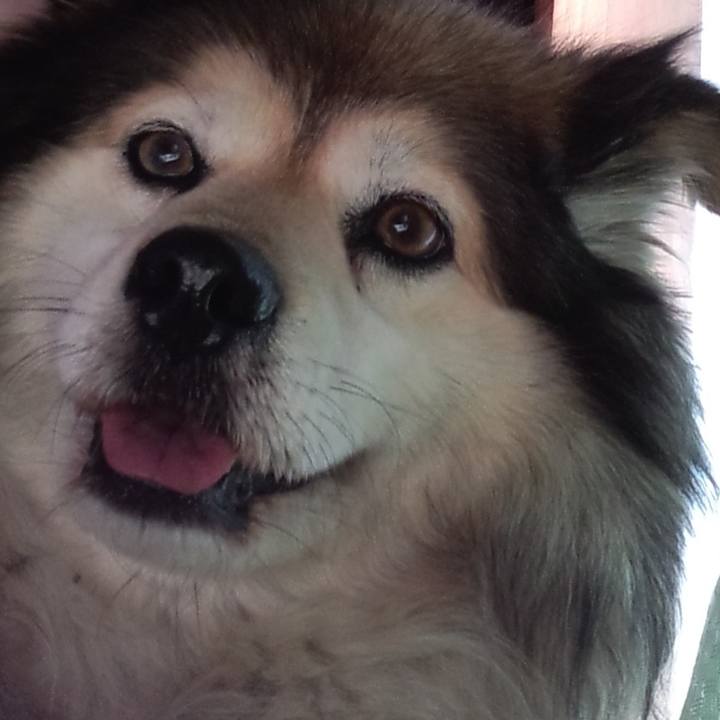 B549180c 5af5 4caf 8467 4e185347d635 1565664595134