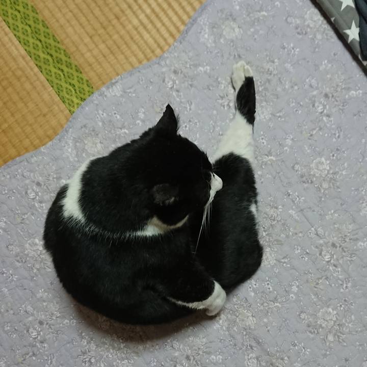 B549235a e2d8 4c94 b99a 2e6d65778e41 1547770049949