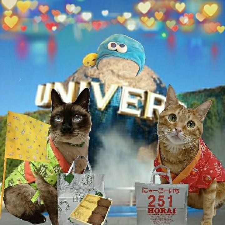 B54933b8 b1a4 41ac af1c adf4a0078b24 1529225607581