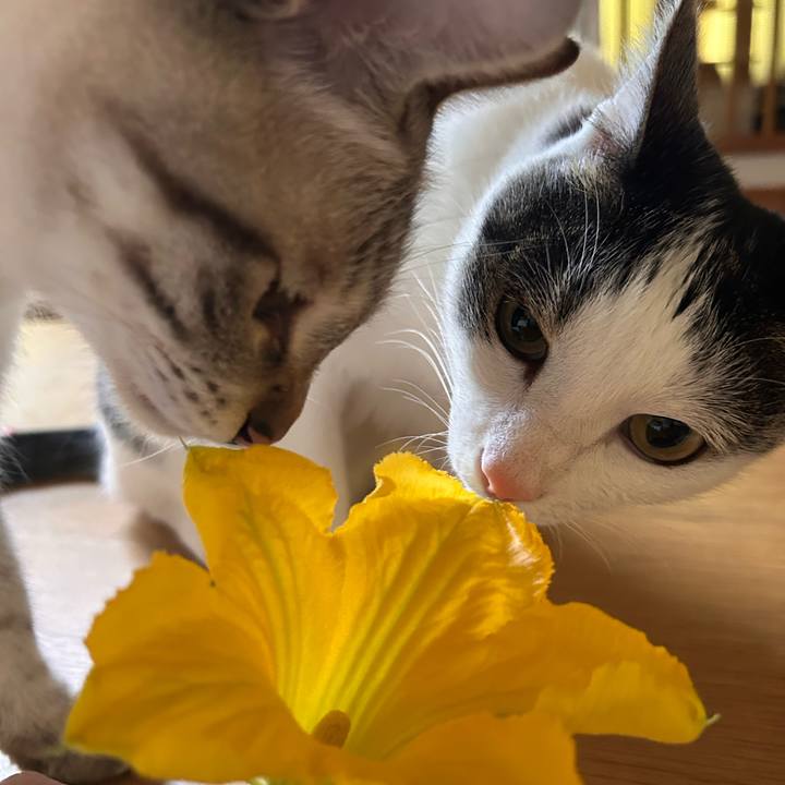 B54958c7 1582 4ce5 a204 f532272f7c1b 1754344593730