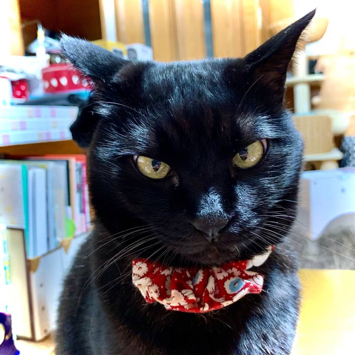 B5495f29 b64c 48e3 805b 967d515d8b3e 1618835275690