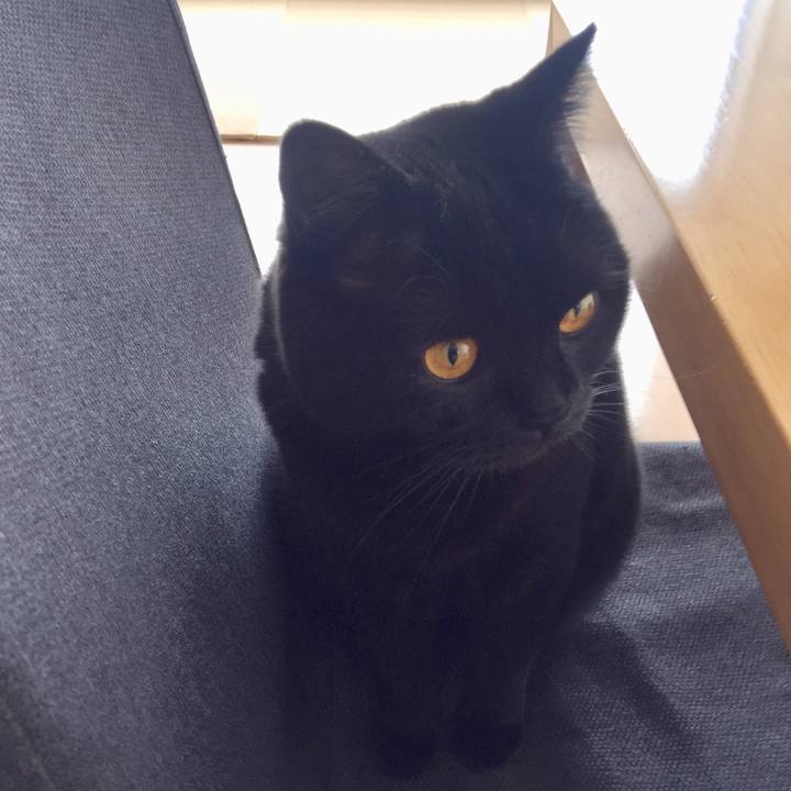 B549786c 6794 4568 91d4 cbeb54e71d19 1585356177469