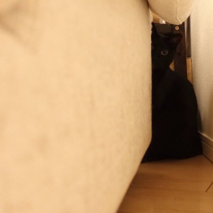 B5498b6b 483b 4be8 bee0 b62de4ee099e 1535378953146