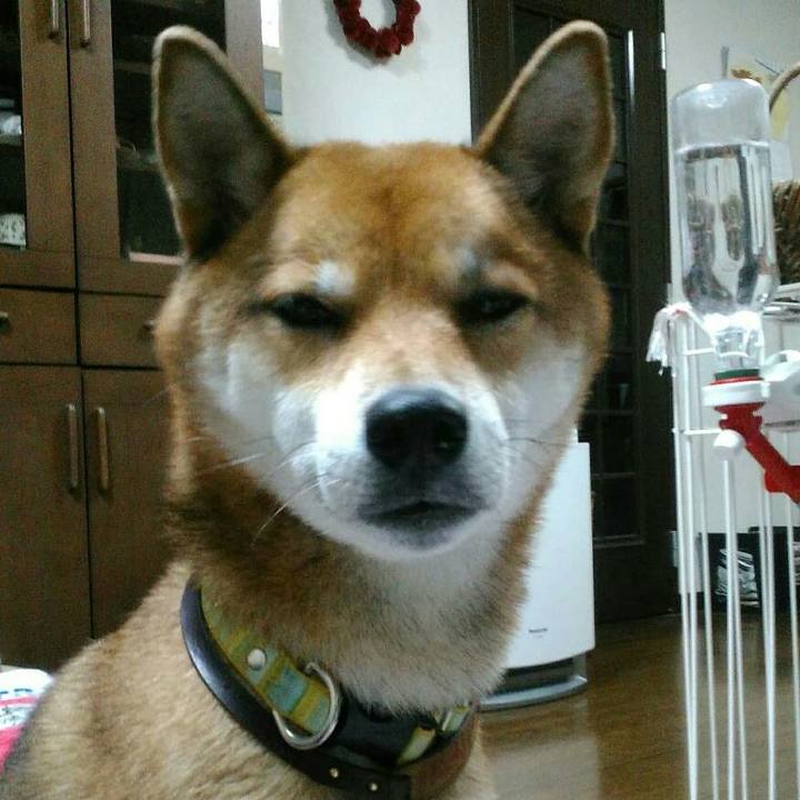 B5498f31 78d7 412f ba4b 2234e31f3f76 1509829560827