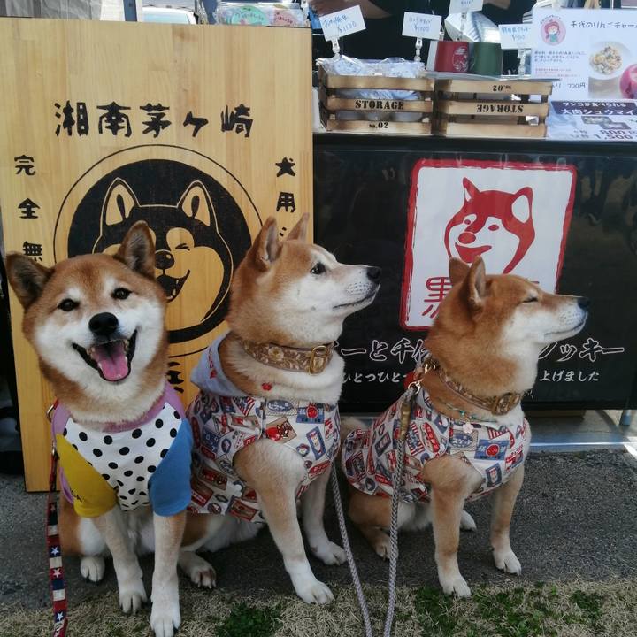 B549b328 507f 435c af89 76a1748a825b 1678854854033