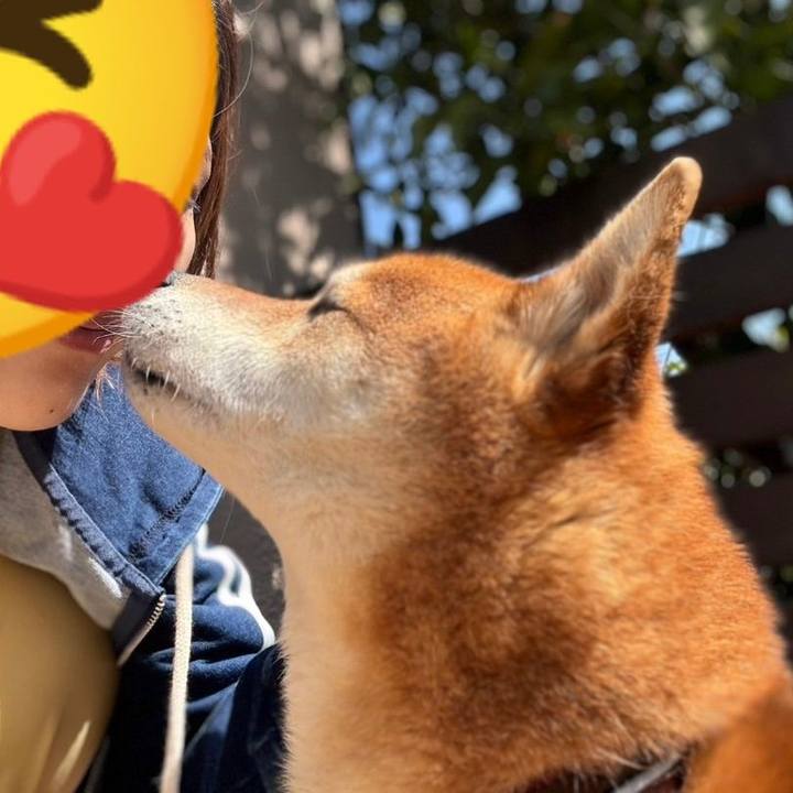 B549d091 4e8b 49ac 9aab edf270a7fe5d 1709823025351