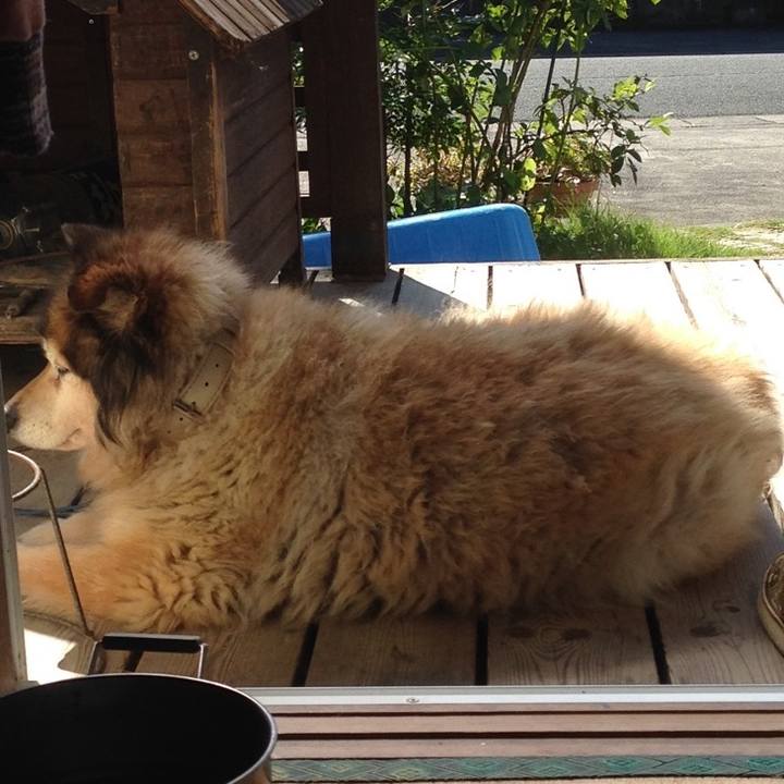 B549e3f9 b488 4e27 a2c5 f44f6a79a515 1605226694705