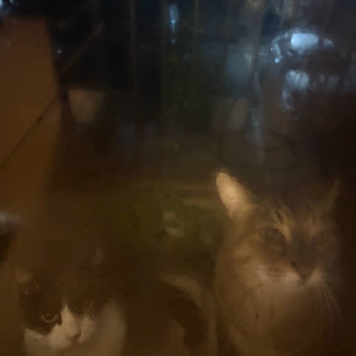 B54a282d 4363 475b 8537 14350a5f4c3a 1763909598037