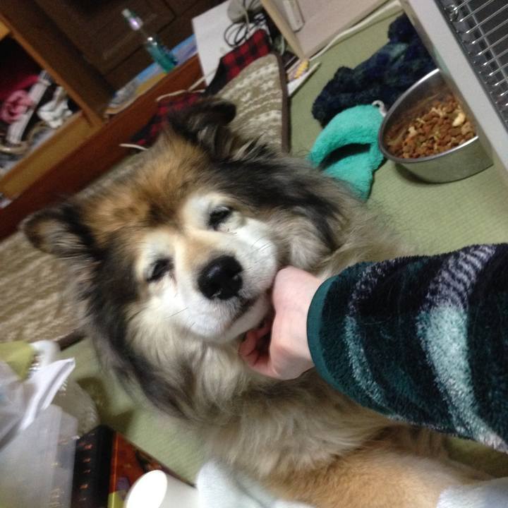 B54a2dfb f673 4354 bb7e 4e48f2434531 1566687989428