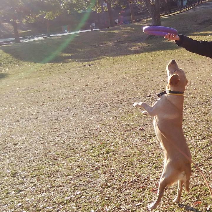 B54a3379 b676 4f16 8061 e8ad9dad6a57 1515653363583