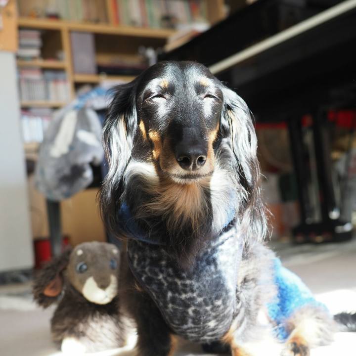 B54a6699 d934 48f5 96d2 bff92d391989 1580970435500